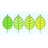 leonelli-logo1.jpg
